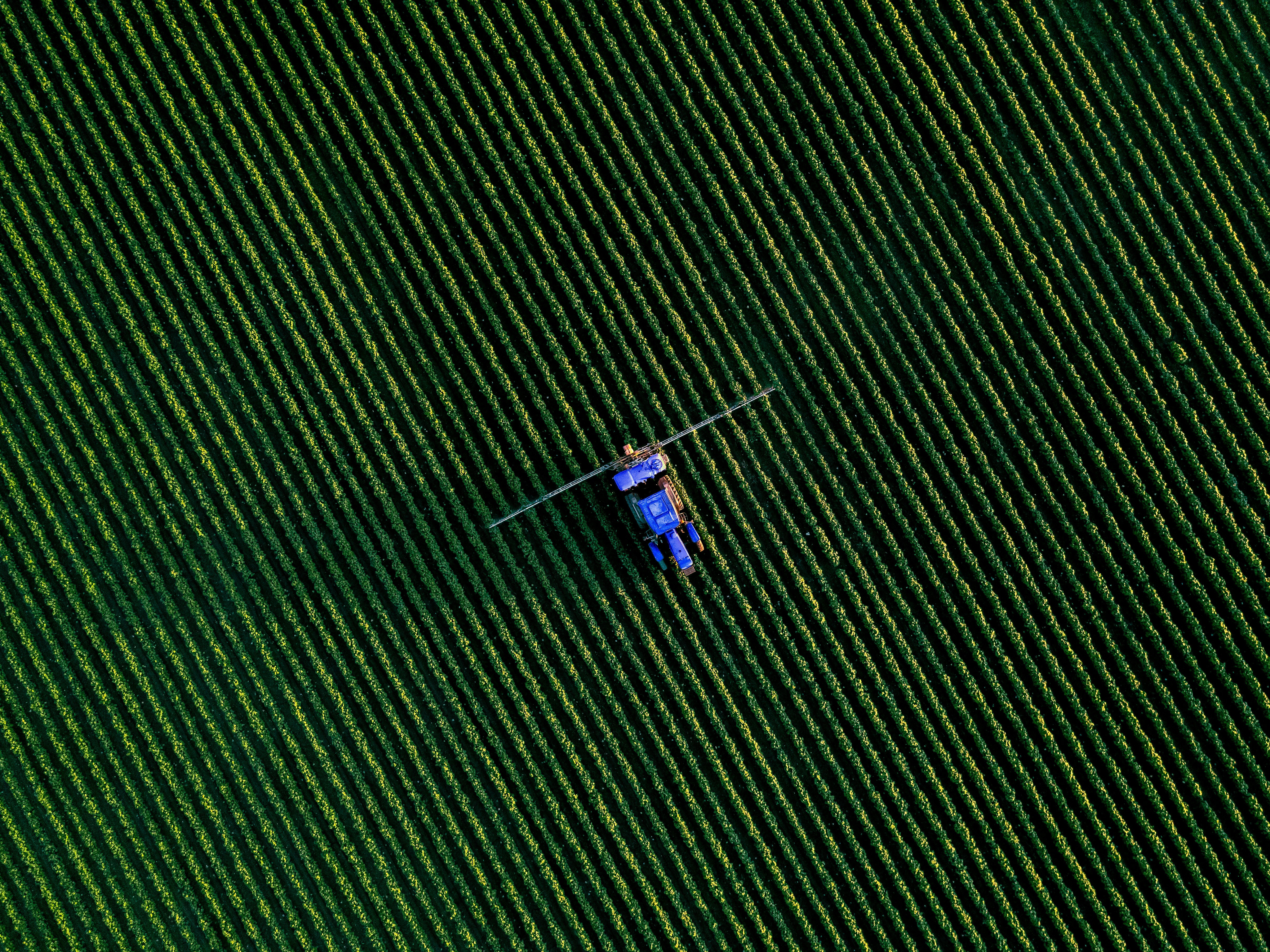 Enterprise Service